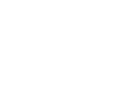 VIP logo
