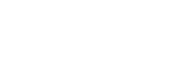Veterinary Management Groups logo